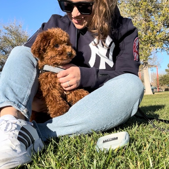 VeeV - Picture 3 of 5